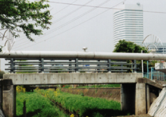 さいたま市 鴻沼川水管橋