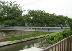 さいたま市 芝川